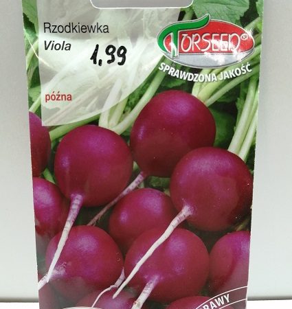 Rzodkiewka Viola